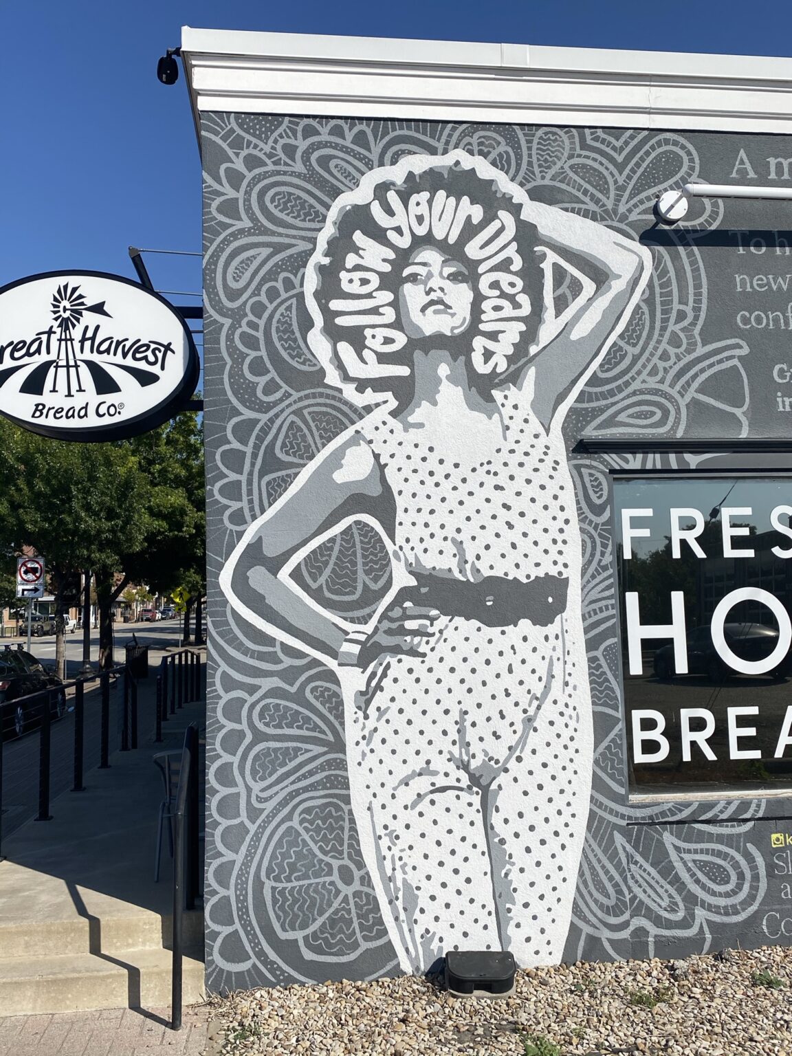 11 Must See Murals in Fort Worth, TX • Becks and the Cities