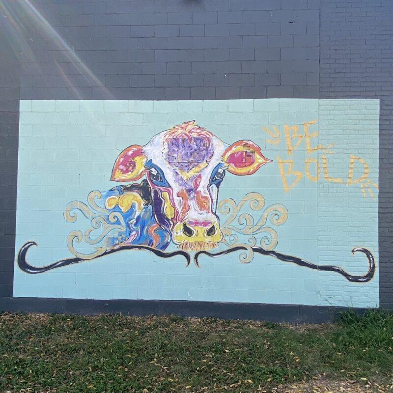 11 Must See Murals in Fort Worth, TX • Becks and the Cities