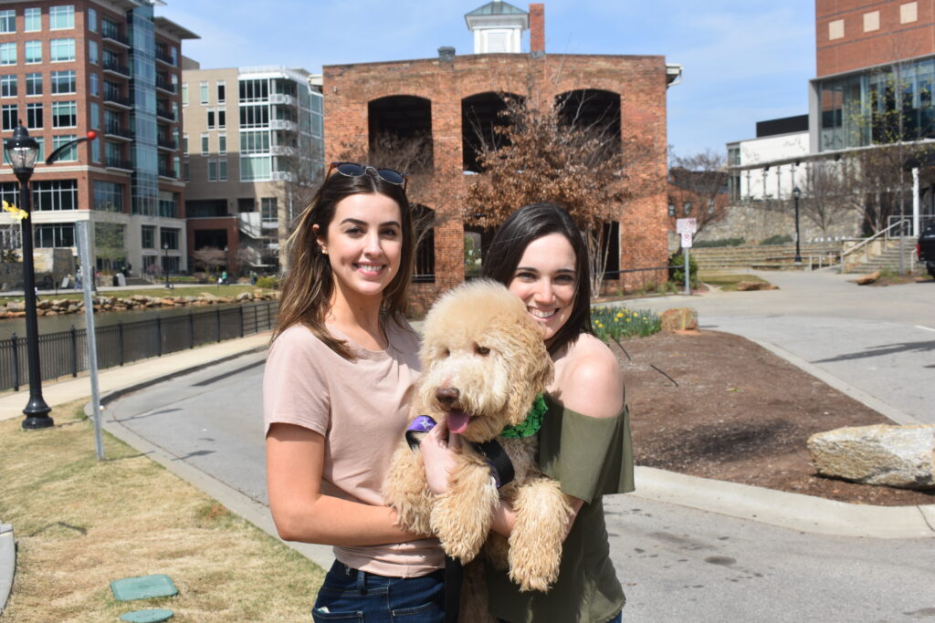 Wyche Pavilion and Goldendoodle